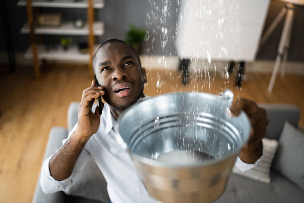 Best Water damage restoration experts  in Green, OH