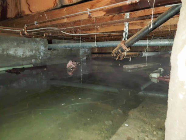 Best Residential water damage restoration  in Green, OH