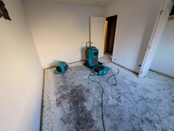 Best Emergency water extraction  in Green, OH