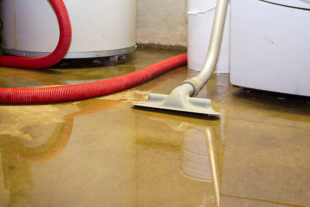  Green, OH Water damage restoration Pros