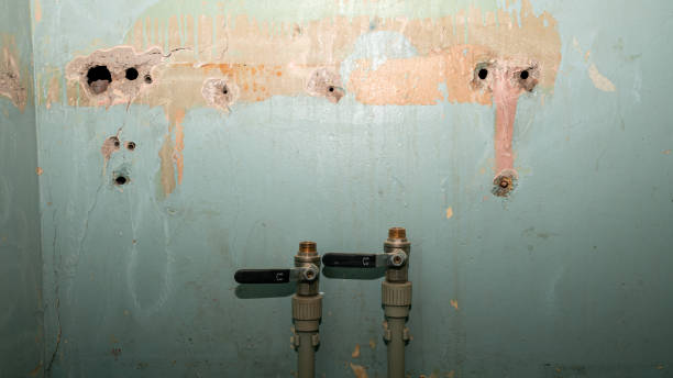 Best Emergency water damage restoration  in Green, OH