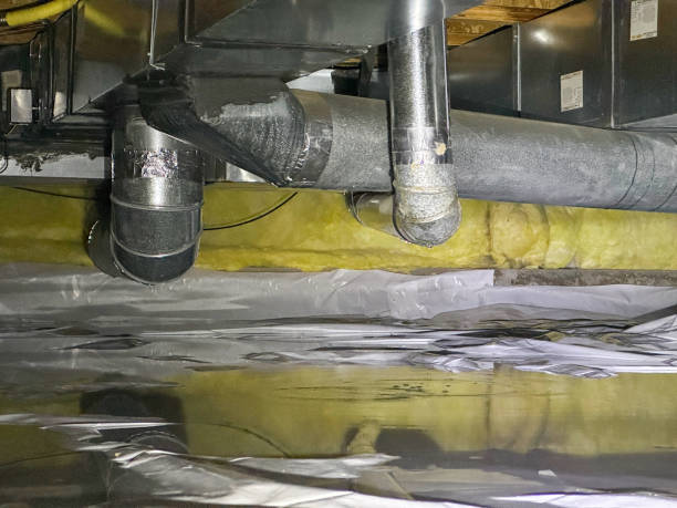 Best Water damage restoration specialists  in Green, OH