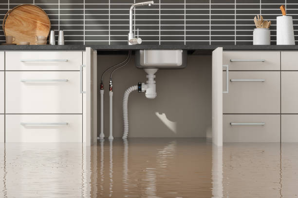 Best Sewage cleanup and water damage restoration  in Green, OH