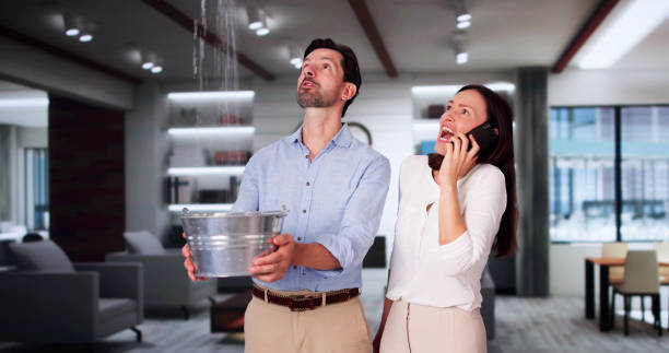 Best Professional water damage repair  in Green, OH